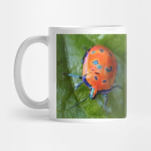 Hibiscus Harlequin Beetle Mug